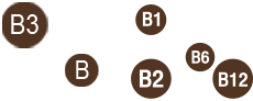 Source de vitamines B, B1, B2, B3, B6, B12
