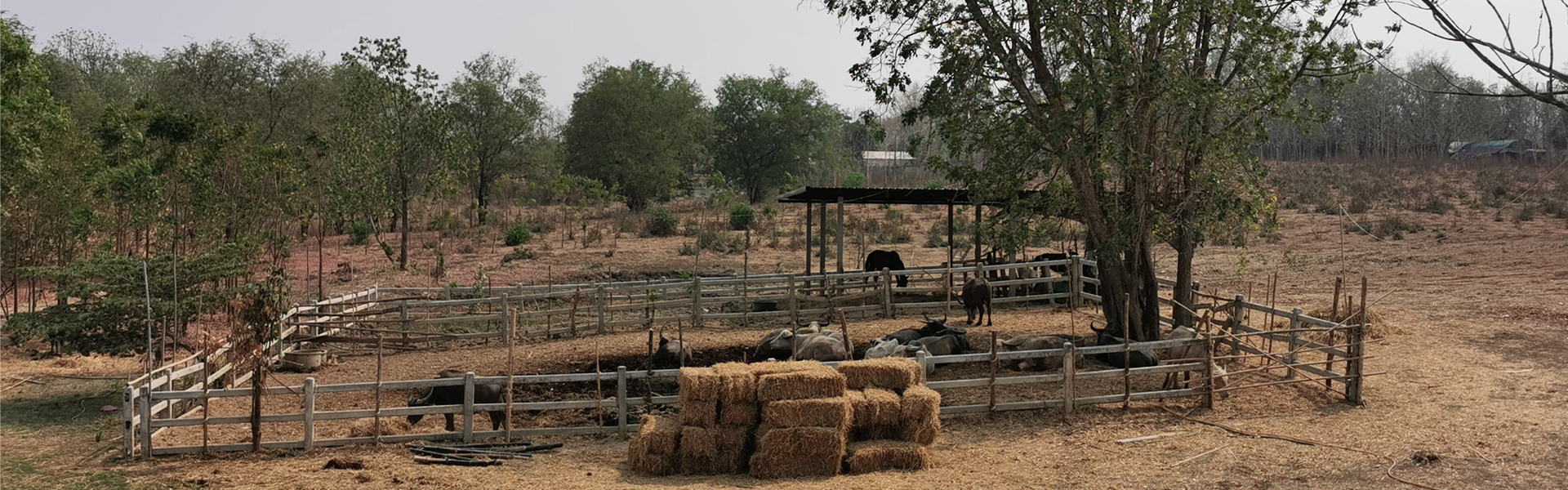 La ferme familiale de Tarn où sont cultivées les plantes utilisées dans les produits Cher-aim.