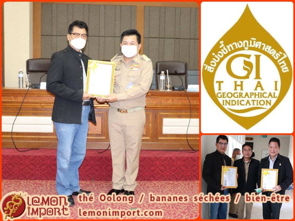 30/01/2021 K. Jatuphon, notre producteur de thé Oolong reçoit la certification "Thai Geographical Indication".